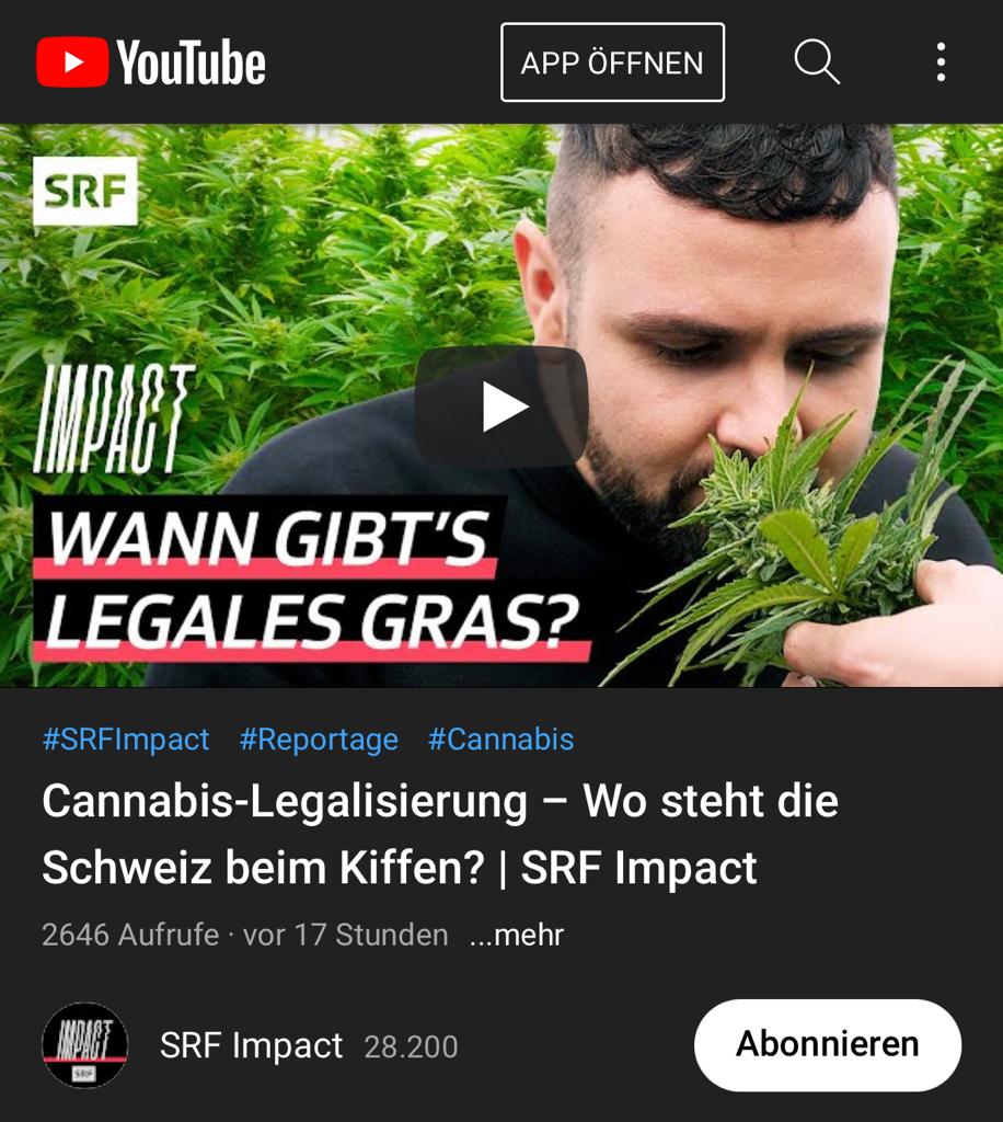 SRF IMPACT: When do we get legal weed in Switzerland?